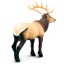 Safari Ltd. Figurka - Wapiti