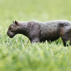Safari Ltd. Figurka - Černý panter