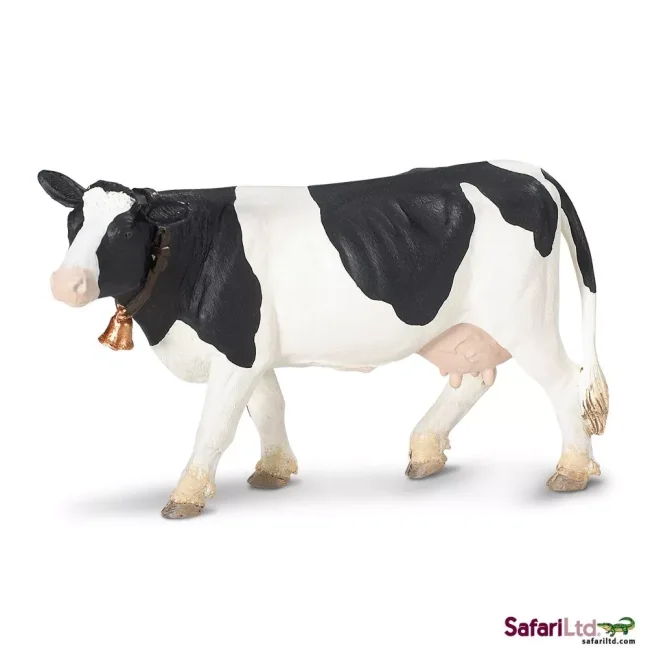 Holštýnská kráva