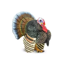 Krocan