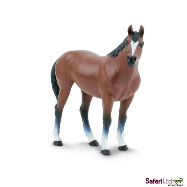 Americký kovbojský kůň