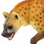 Safari Ltd. Figurka - Hyena