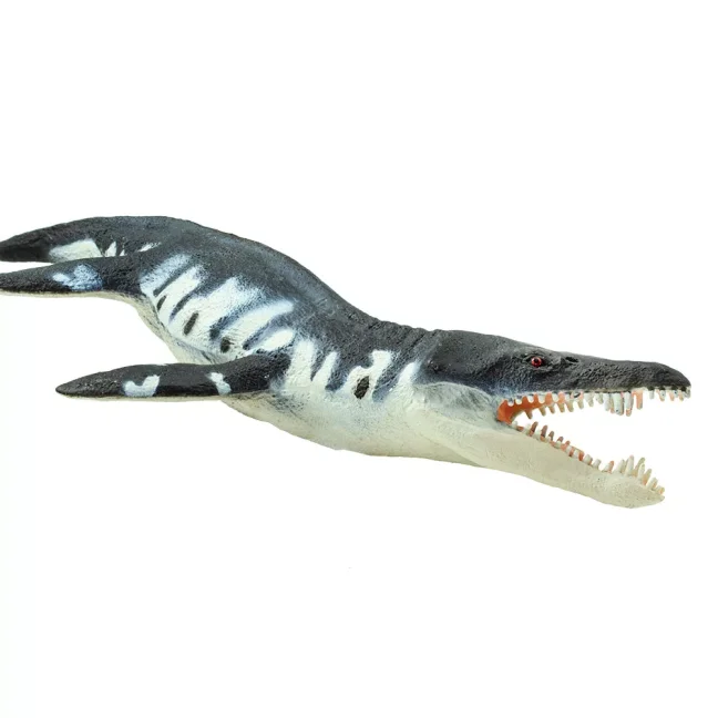 Liopleurodon