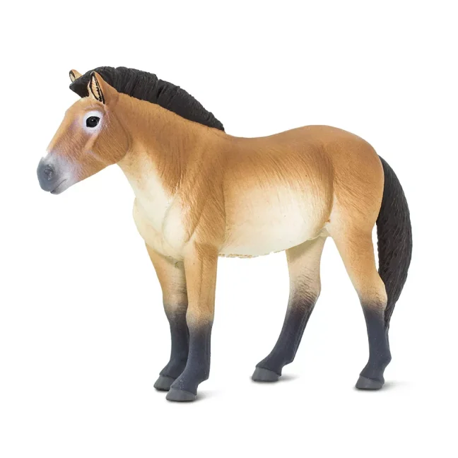 Safari Ltd. Figurka - Kůň převalského