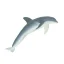 Delfín skákavý