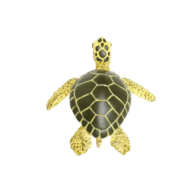 Mládě mořské želvy