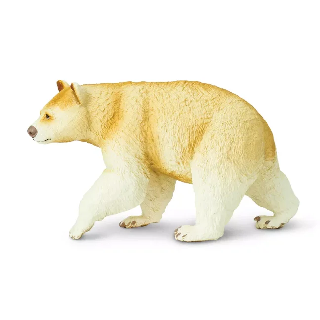 Baribal bílý