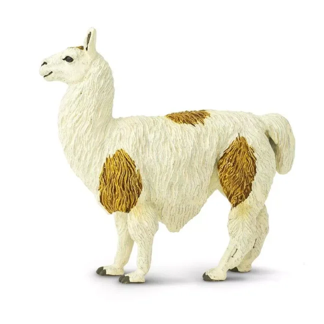 Lama