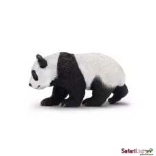 Mládě pandy