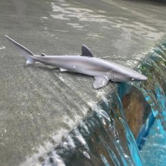 Figurka - Žralok hedvábný