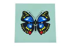 Puzzle - motýl