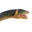 Elasmosaurus