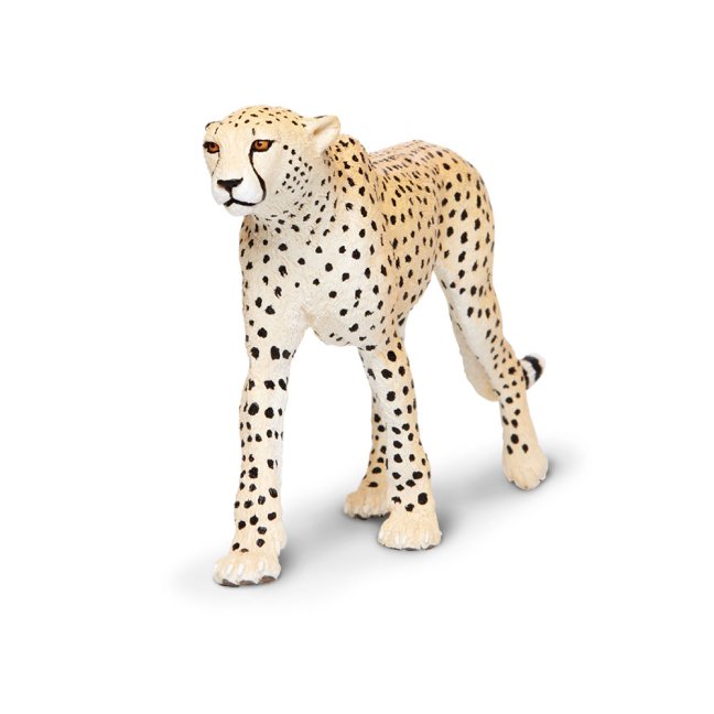 Gepard