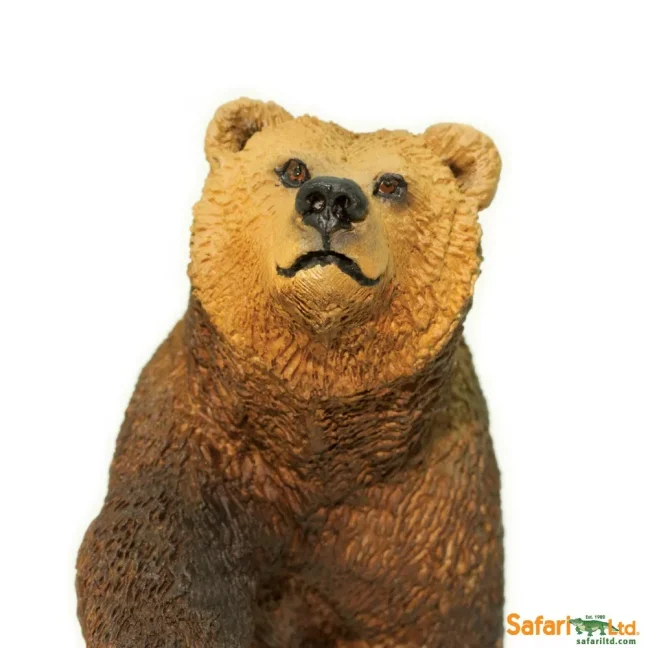 Medvěd Grizzly