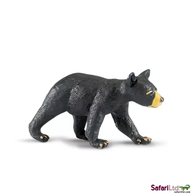 Mládě medvěda baribala