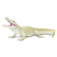 Krokodýl albín