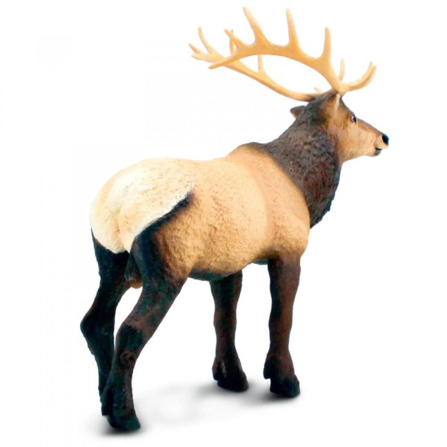 Safari Ltd. Figurka - Wapiti