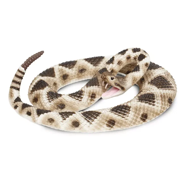 Chřestýš diamantový