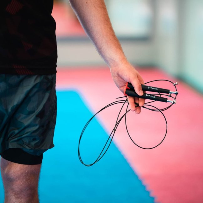 Švihadlo s ložisky HMS SK49