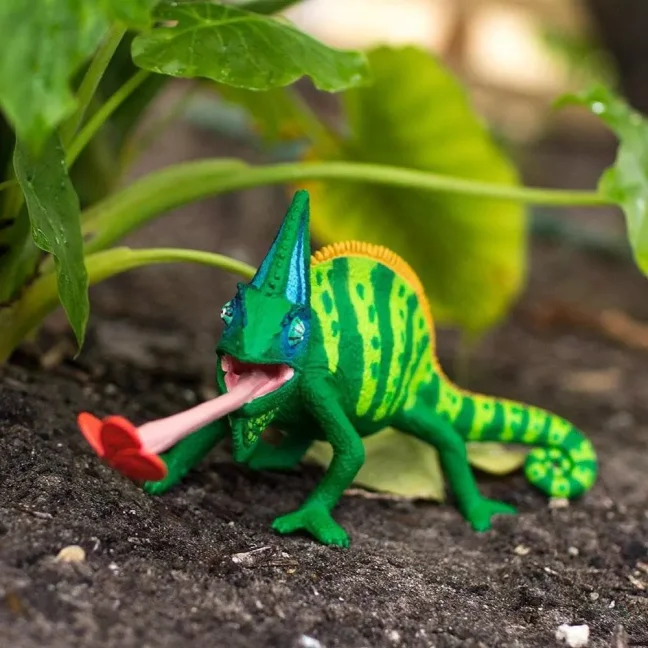 Chameleón jemenský