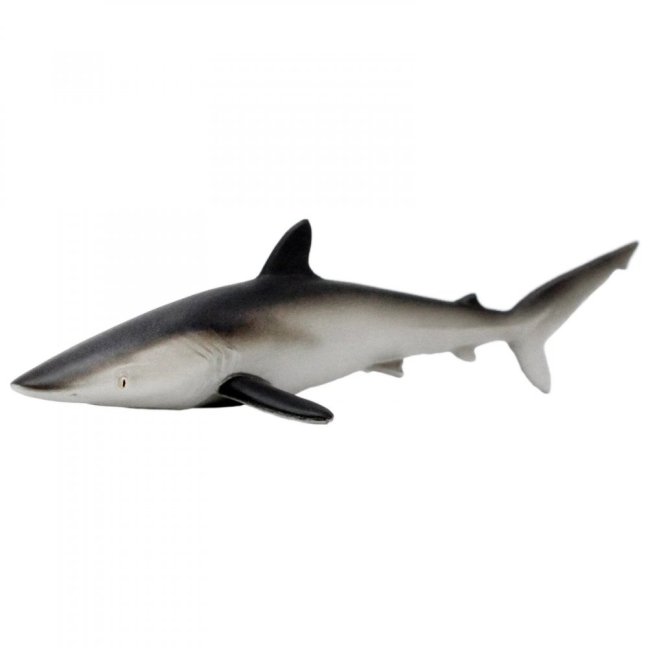 Safari Ltd. Figurka - Žralok hedvábný