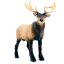 Safari Ltd. Figurka - Wapiti