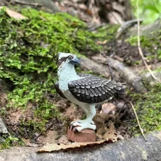 Safari Ltd. Figurka - Mořský orel