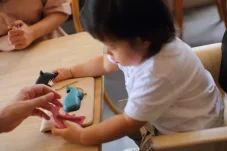 Puzzle - mořský život