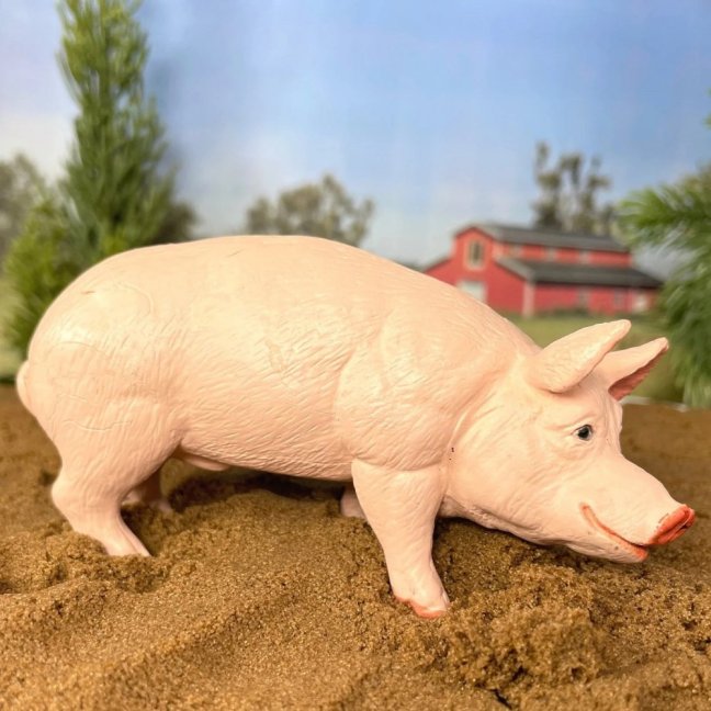 Figurka - Kanec prasete domácího