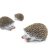 Safari Ltd. Ježci - Good Luck Minis
