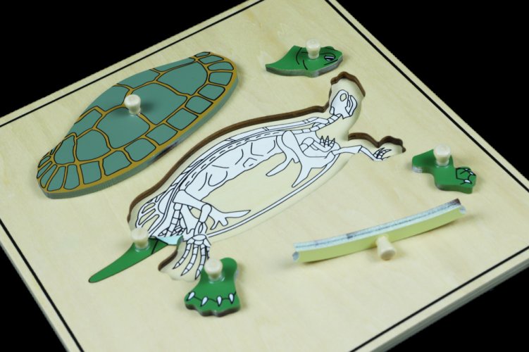 Puzzle s kostrou - želva