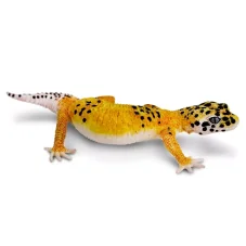 Safari Ltd. Figurka - Gekončík noční