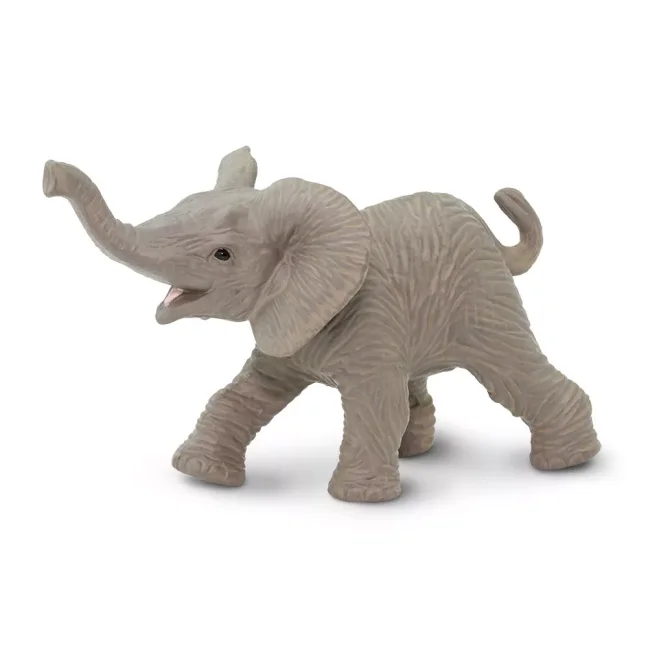 Mládě slona afrického