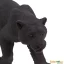 Černý jaguár