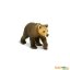 Medvěd Grizzly - mládě