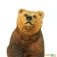 Medvěd Grizzly