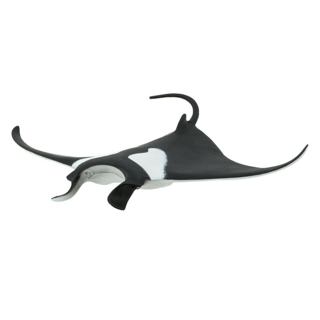 Manta obrovská