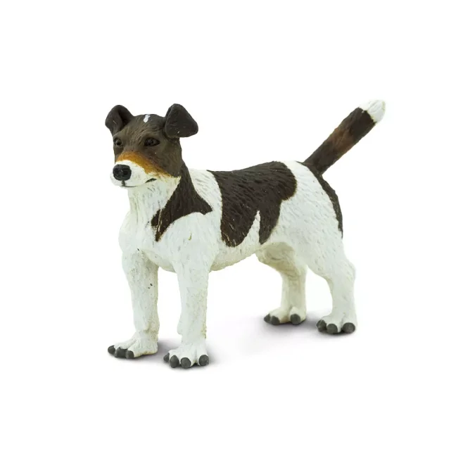 Jack Russel teriér