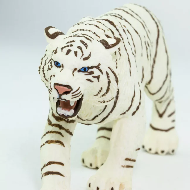 Bílý tygr bengálský