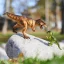 Safari Ltd. Figurka - Tyrannosaurus Rex (s rozšířenou realitou)