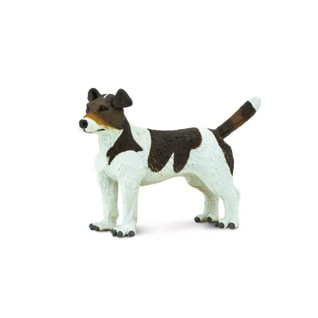 Jack Russel teriér