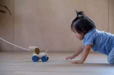 Tahací a strkací štěně