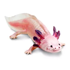 Safari Ltd. Figurka - Axolotl