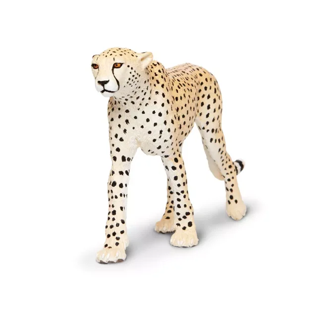 Gepard