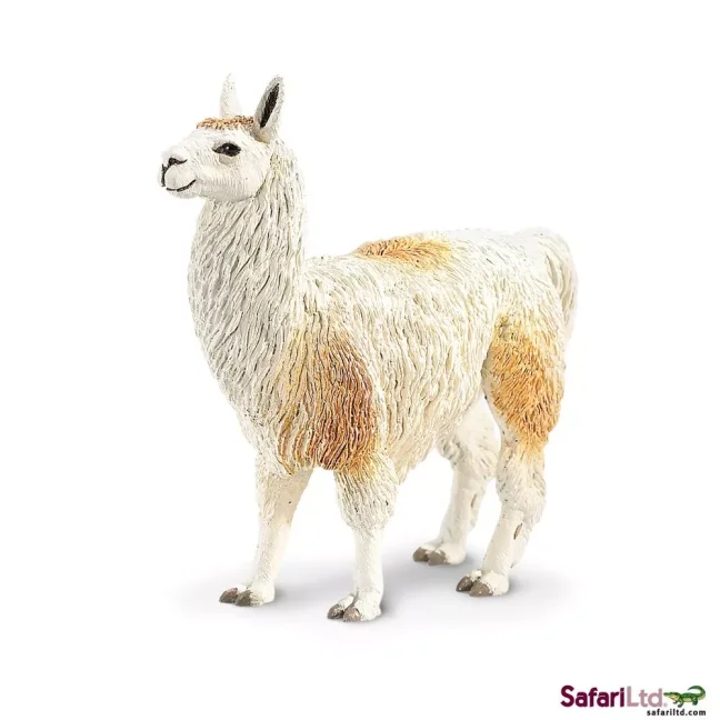 Lama