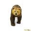 Medvěd Grizzly