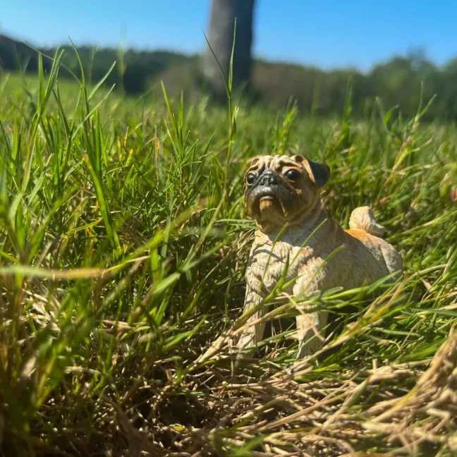 Safari Ltd. Figurka - Mops