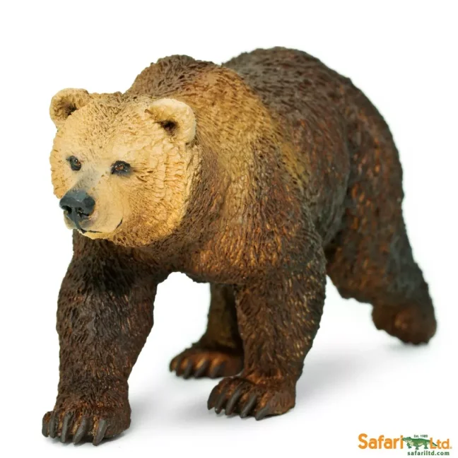 Medvěd Grizzly
