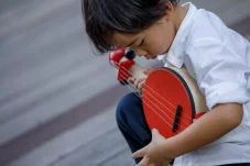 Banjo