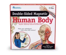 Oboustranné magnetické lidské tělo